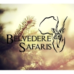 Belvedere Safaris - Logo